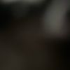 alic_